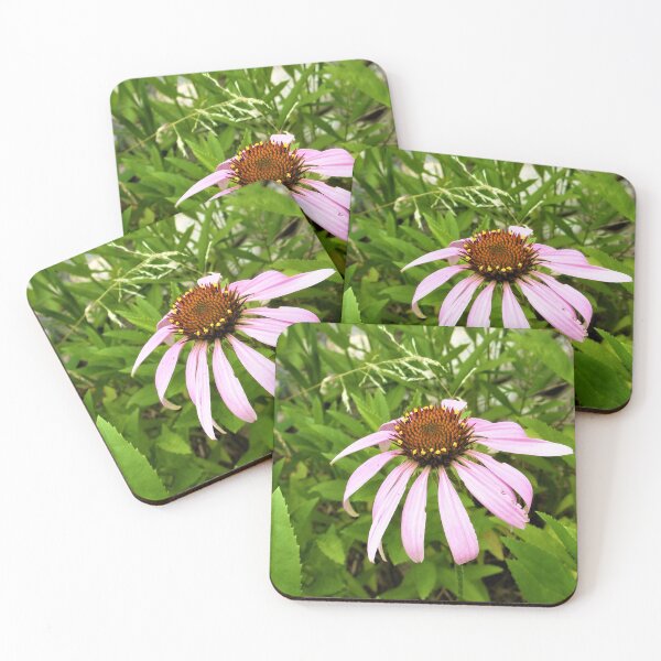 Item preview, Pretty Purple Coneflower designed and sold by CJGrimes.
