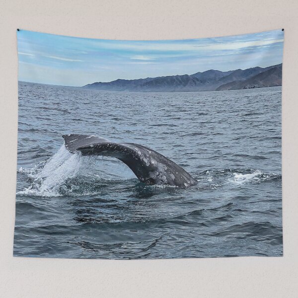 Item preview, Gray Whale Tale designed and sold by tammyschroder.