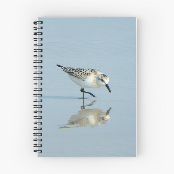 Item preview, Sanderling designed and sold by shotsfromthehip.