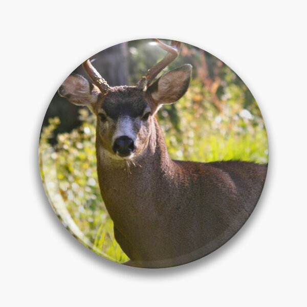 Item preview, Strutting Black tailed buck.... designed and sold by RichImage.