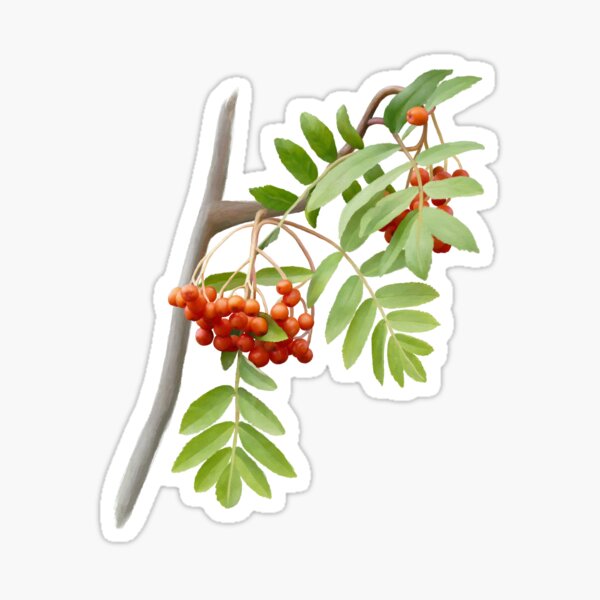 Item preview, Rowan Tree designed and sold by IvaW.