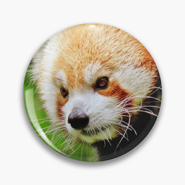 Item preview, Red Panda designed and sold by HowlingFantasy.