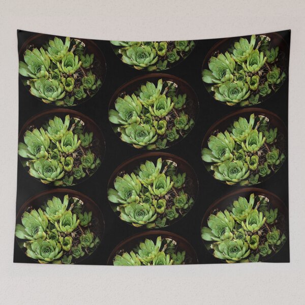 Item preview, Succulent Circle designed and sold by CJGrimes.