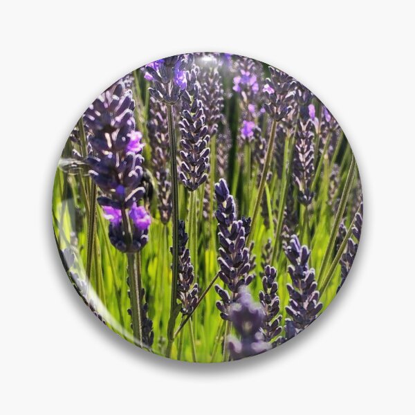 Item preview, Lavender Fields designed and sold by tammyschroder.