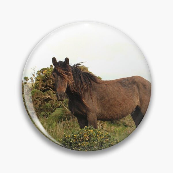 Item preview, The Ridiculously Photogenic Dartmoor Pony designed and sold by Martha Sherman.