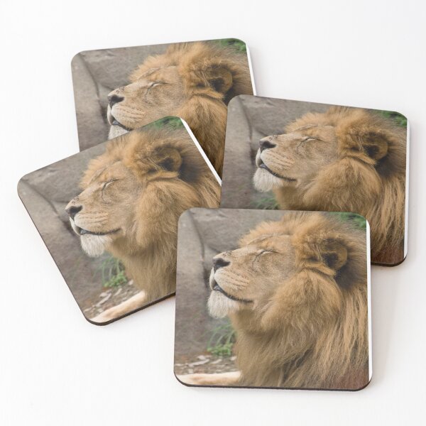 Item preview, Sun Bathing Lion designed and sold by SpectreSparkC.