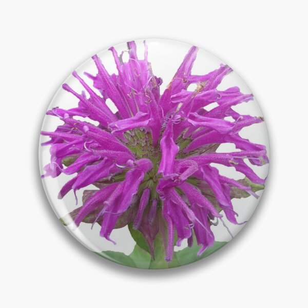 Item preview, Frazzled, but Beautiful designed and sold by CJGrimes.