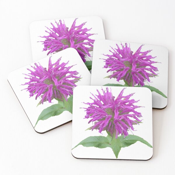 Item preview, Frazzled, but Beautiful designed and sold by CJGrimes.