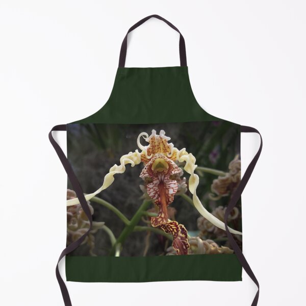 Item preview, An Unusual and Beautiful Ladyslipper Orchid Flower designed and sold by MomentofPercep.