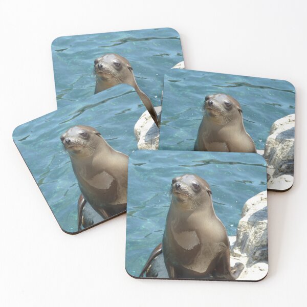 Item preview, Seal on a rock near water designed and sold by DomGDesign.