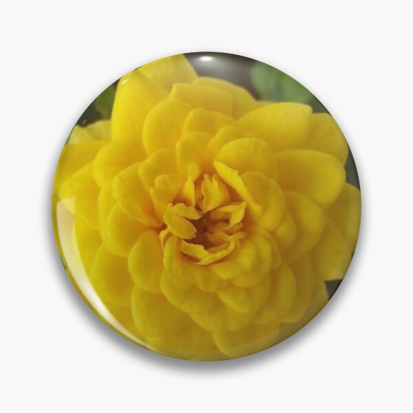 Item preview, Yellow Rose designed and sold by MrMonroe007 | Decor Dorm Office Graphic Generation XYZ.
