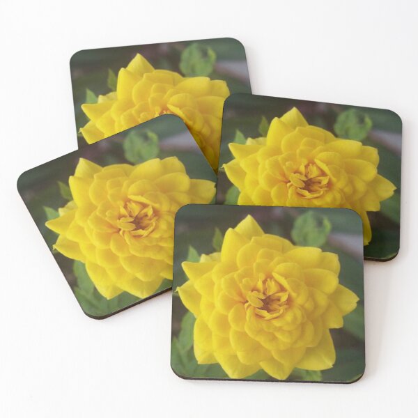 Item preview, Yellow Rose designed and sold by MrMonroe007.