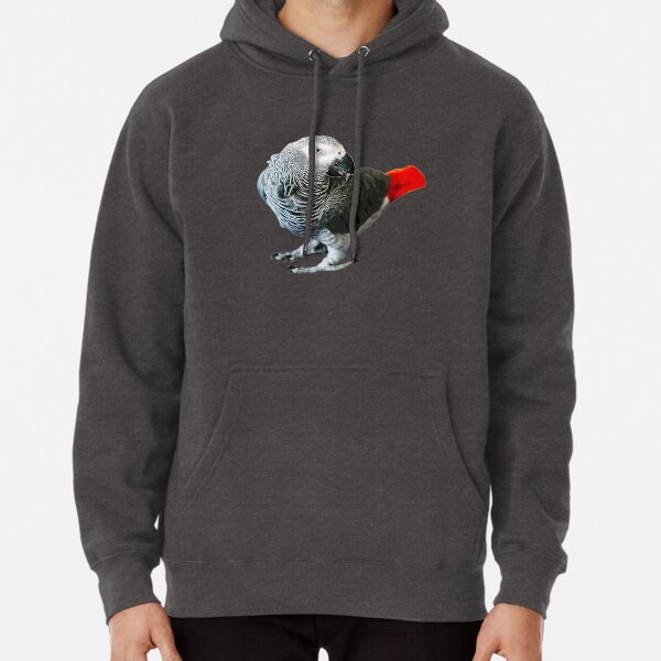 African Grey Parrot Pullover Hoodie for Sale by sylvanmist