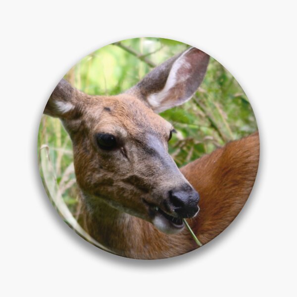 Item preview, Doe...A Deer designed and sold by RichImage.