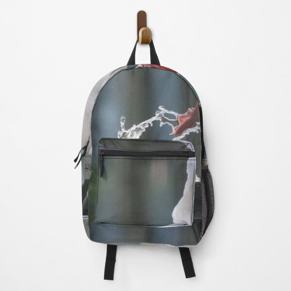 Item preview, Bonaparte Gull leaving Fountain - foot splash designed and sold by Penwortham.