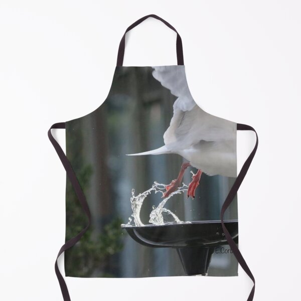 Item preview, Bonaparte Gull leaving Fountain - foot splash designed and sold by Penwortham.
