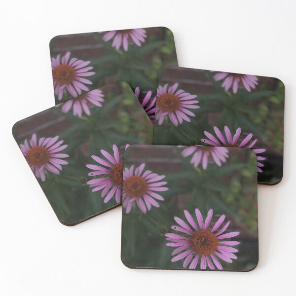 Item preview, Coneflower Watching the Sunset  designed and sold by Maria Chandler.