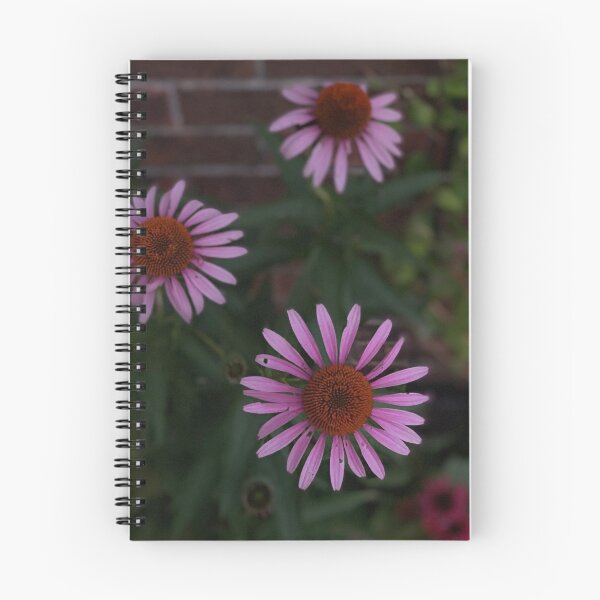 Item preview, Coneflower Watching the Sunset  designed and sold by Maria Chandler.