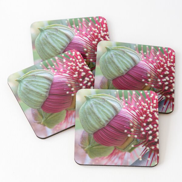 Item preview, Deep Pink Eucalyptus Bud designed and sold by SallyB.Photography.