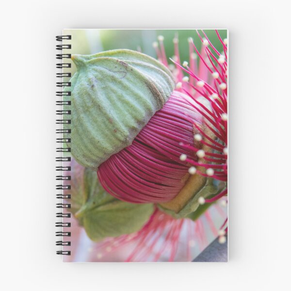 Item preview, Deep Pink Eucalyptus Bud designed and sold by SallyB.Photography.