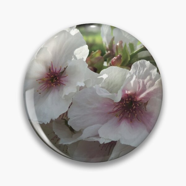 Item preview, Filtered Light on Spring Blossoms designed and sold by Marilyn Harris.
