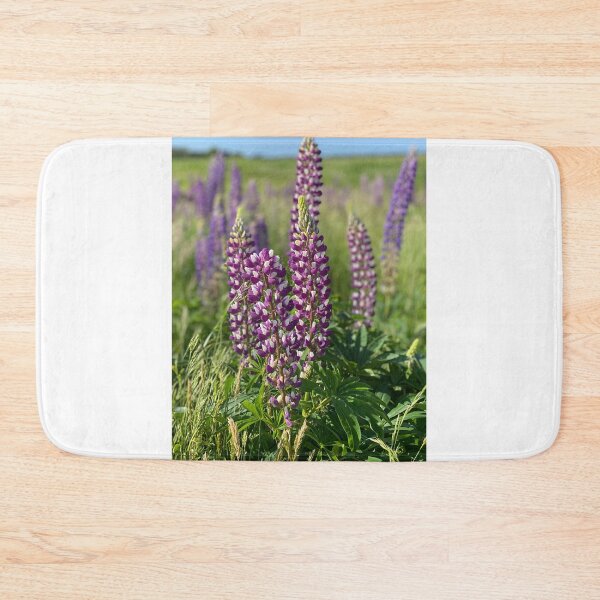Item preview, Lupine On the Bay designed and sold by Maria Chandler.