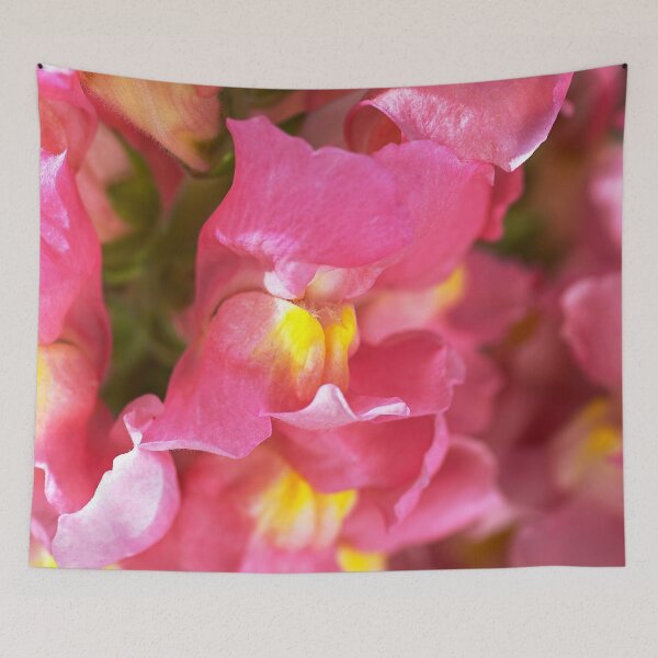 Item preview, Snapdragon Pink Flowers designed and sold by Joy Watson - Natural Light Photography .