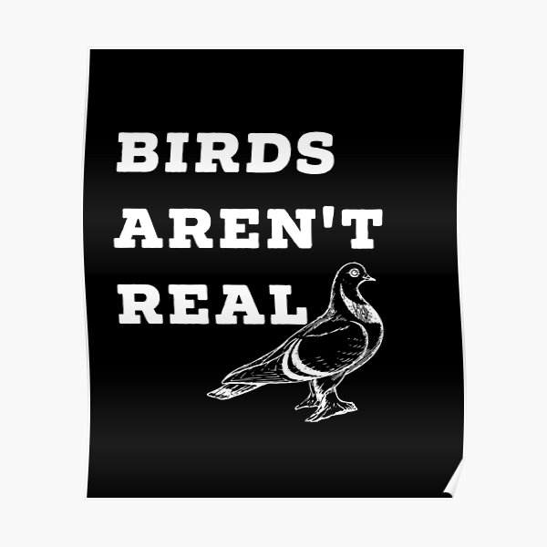 Birds Arent Real Posters | Redbubble