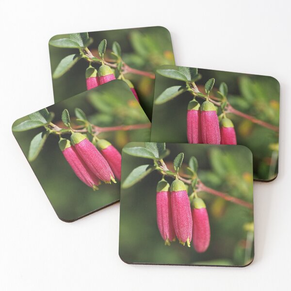 Item preview, Fuchsia Dusky Bells designed and sold by Joy Watson - Natural Light Photography .