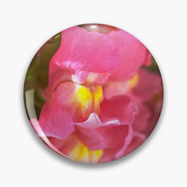 Item preview, Snapdragon Pink Flowers designed and sold by Joy Watson - Natural Light Photography .