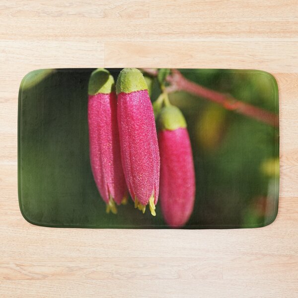 Item preview, Fuchsia Dusky Bells designed and sold by Joy Watson - Natural Light Photography .