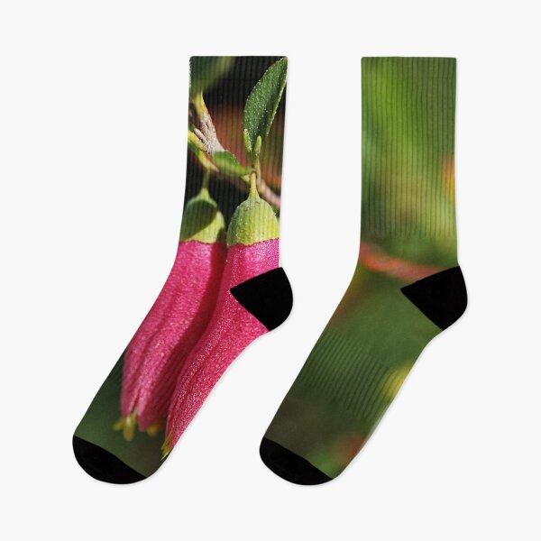 Item preview, Fuchsia Dusky Bells designed and sold by Joy Watson - Natural Light Photography .