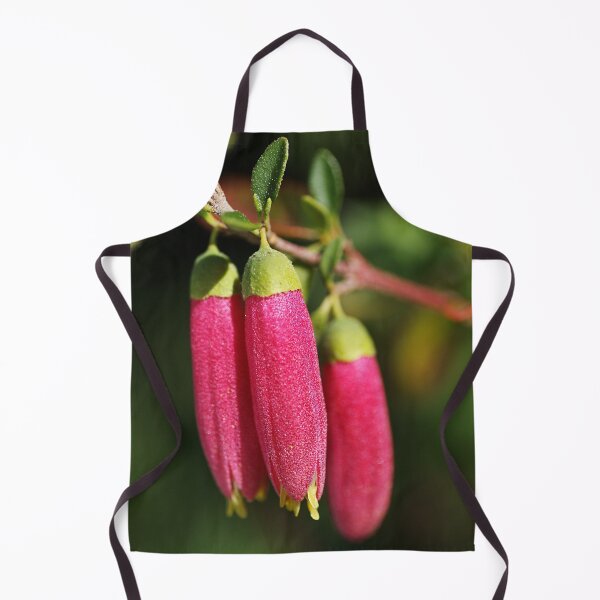 Item preview, Fuchsia Dusky Bells designed and sold by Joy Watson - Natural Light Photography .