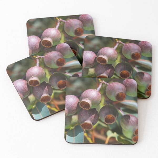 Item preview, Australian Gumnuts Cluster designed and sold by Joy Watson - Natural Light Photography .
