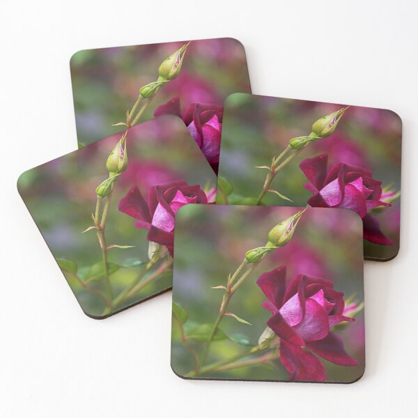 Item preview, Pink Velvet Rose  designed and sold by Joy Watson - Natural Light Photography .