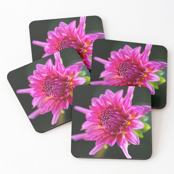 Item preview, Dahlia Pink Glow designed and sold by Joy Watson - Natural Light Photography .