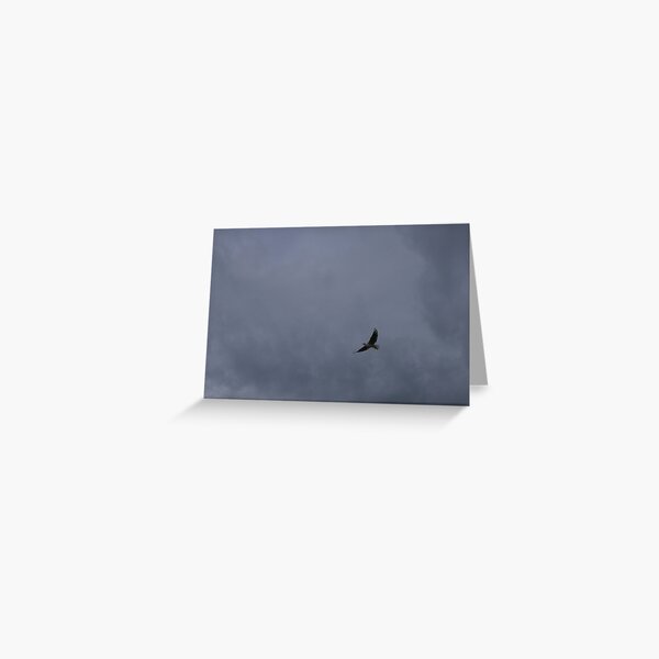 Item preview, Free as a bird designed and sold by pierredubrelle.