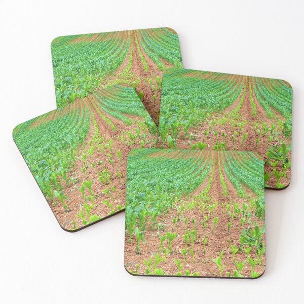 Item preview, Sweetcorn Crop with New Growth designed and sold by MarkUK97.