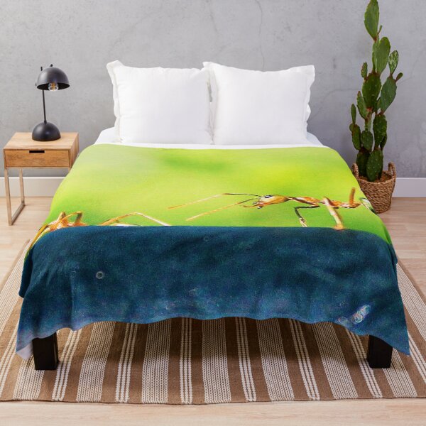 Item preview, Green tree ant from Northern Qld designed and sold by CazDPhotos.
