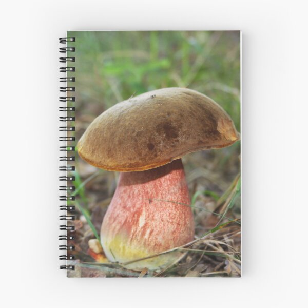 Item preview, Boletus erythropus designed and sold by Jo Nijenhuis.