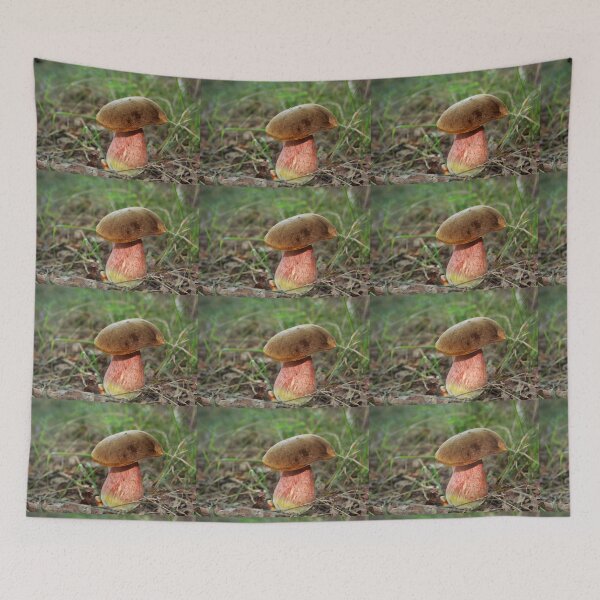 Item preview, Boletus erythropus designed and sold by Jo Nijenhuis.