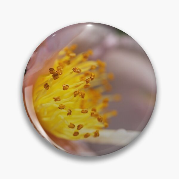 Item preview, Camellia Baby Pink designed and sold by Joy Watson - Natural Light Photography .