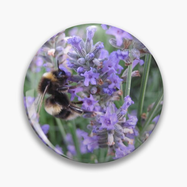 Item preview, Bumble bee on lavender designed and sold by pierredubrelle.