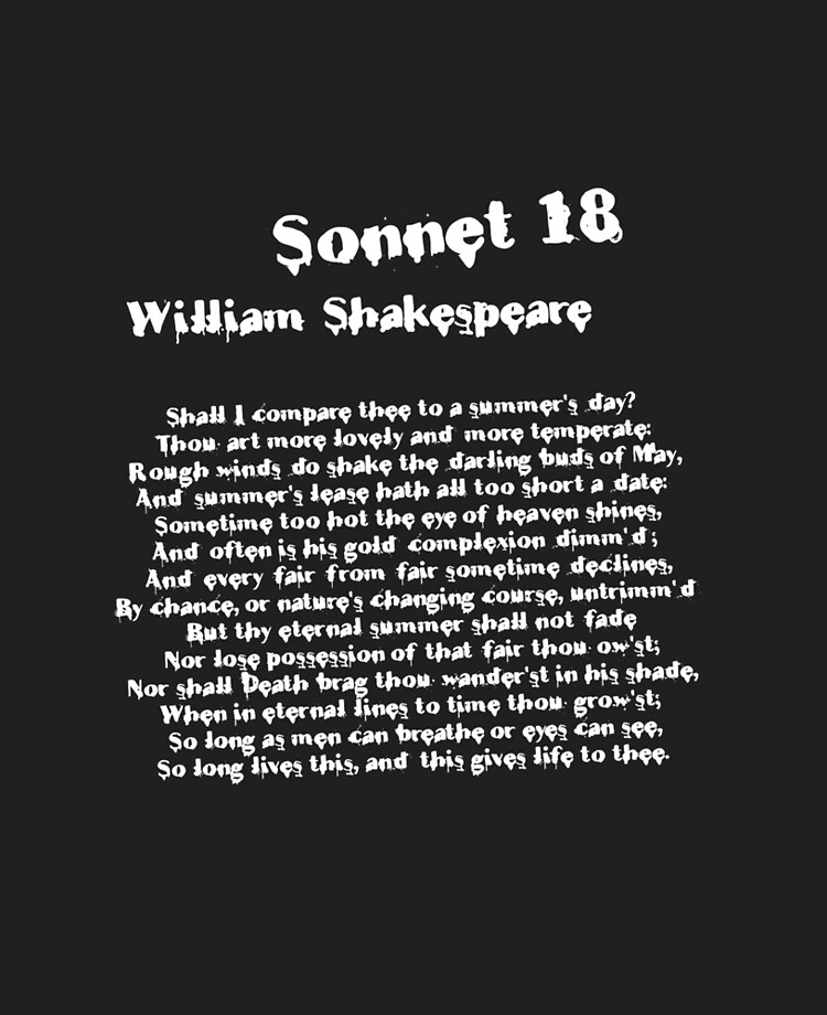 William Shakespeare Sonnet 18 Grunge T Shirt Ipad Case Skin By Bitsnbobs Redbubble