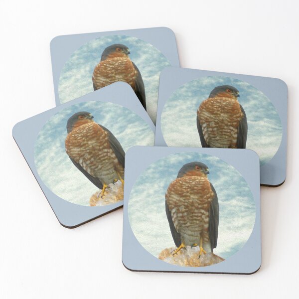 Item preview, Sparrow hawk designed and sold by Guardi71.