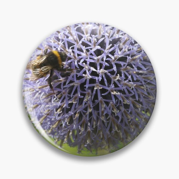 Item preview, Allium designed and sold by Seashorepics.
