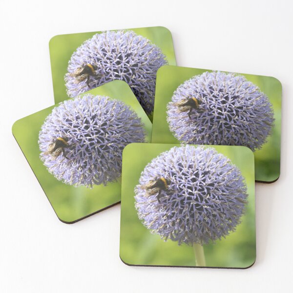 Item preview, Allium designed and sold by Seashorepics.