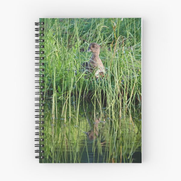 Item preview, All my children hidden. Eurasian wigeon designed and sold by Jouko Lehto Photography.