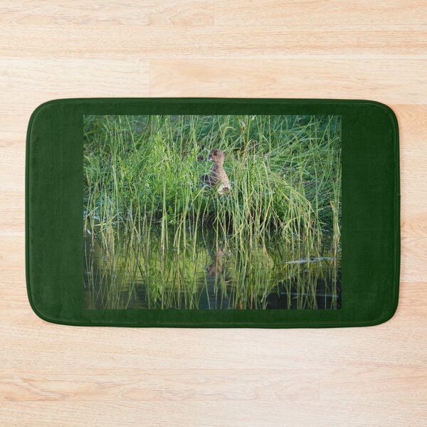 Item preview, All my children hidden. Eurasian wigeon designed and sold by Jouko Lehto Photography.