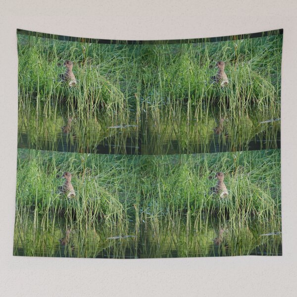 Item preview, All my children hidden. Eurasian wigeon designed and sold by Jouko Lehto Photography.